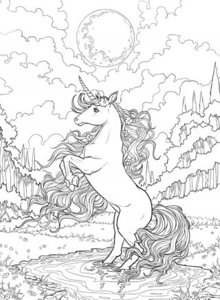 Coloring Pages for Adults. Print 130 of the best images