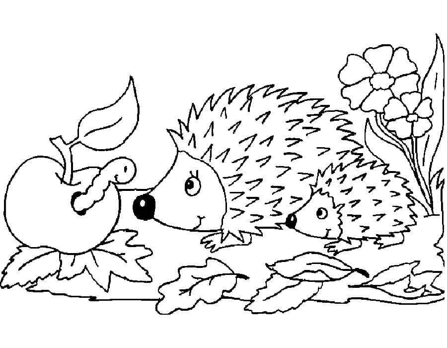 Desenhos para Colorir Ouriço para crianças, 150 peças. Imprimir A4