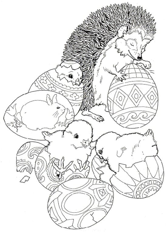 Dibujos de Erizos para colorear para niños, 150 piezas. Imprimir A4