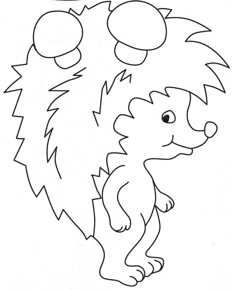 Coloring Pages Hedgehog for Kids, 150 pieces. Print A4