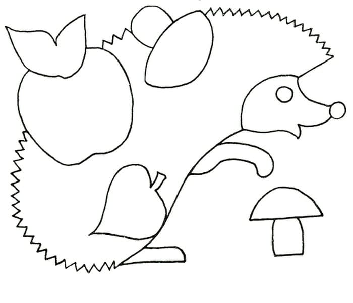 Disegni da colorare Ricci per bambini, 150 pezzi. Stampa A4