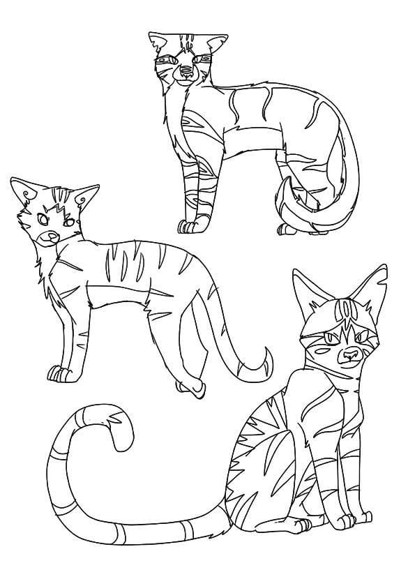 Раскраски Коты Воители. 90 Бесплатных раскрасок для печати