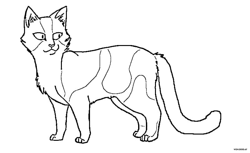 Desenhos de Gatos Guerreiros para colorir