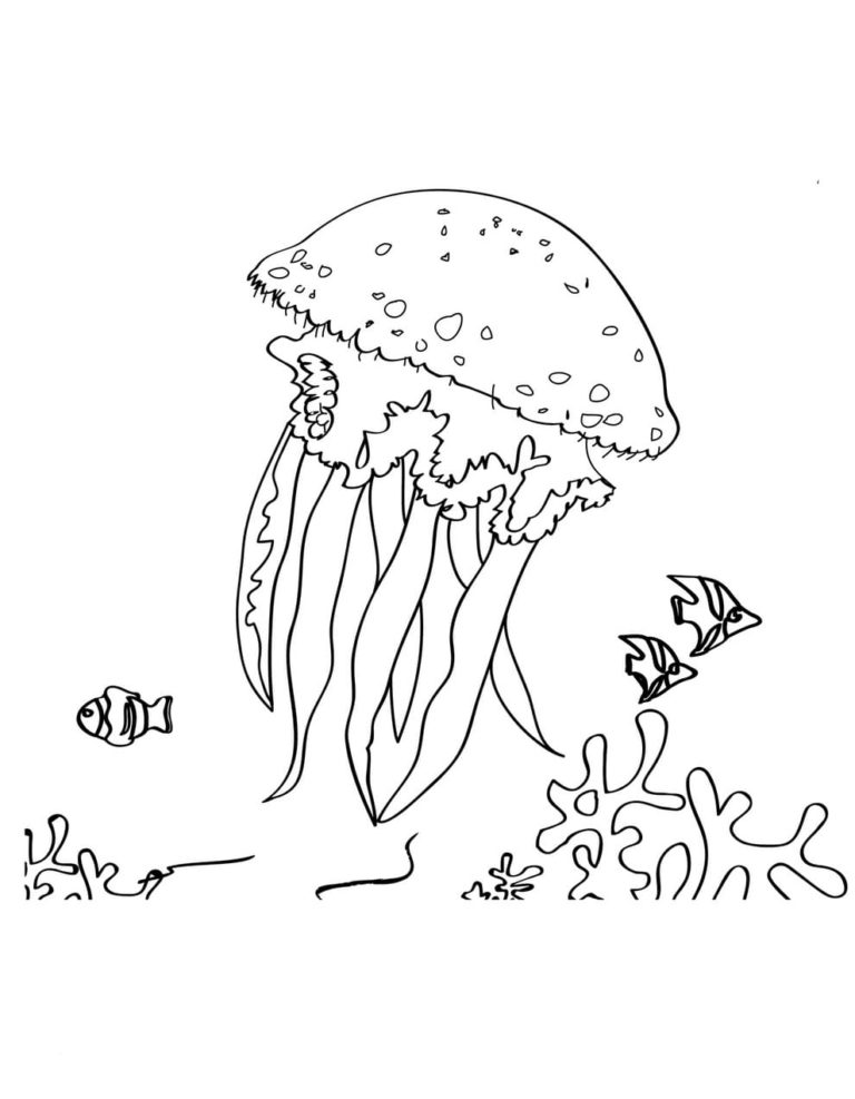 Coloring pages Sea and Ocean Animals - Underwater World