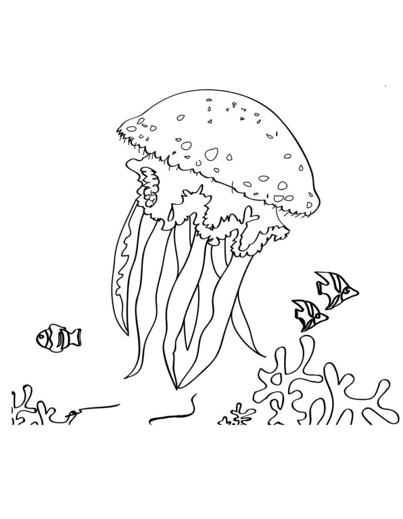 Dibujos de Animales marinos para colorear - Mundo submarino