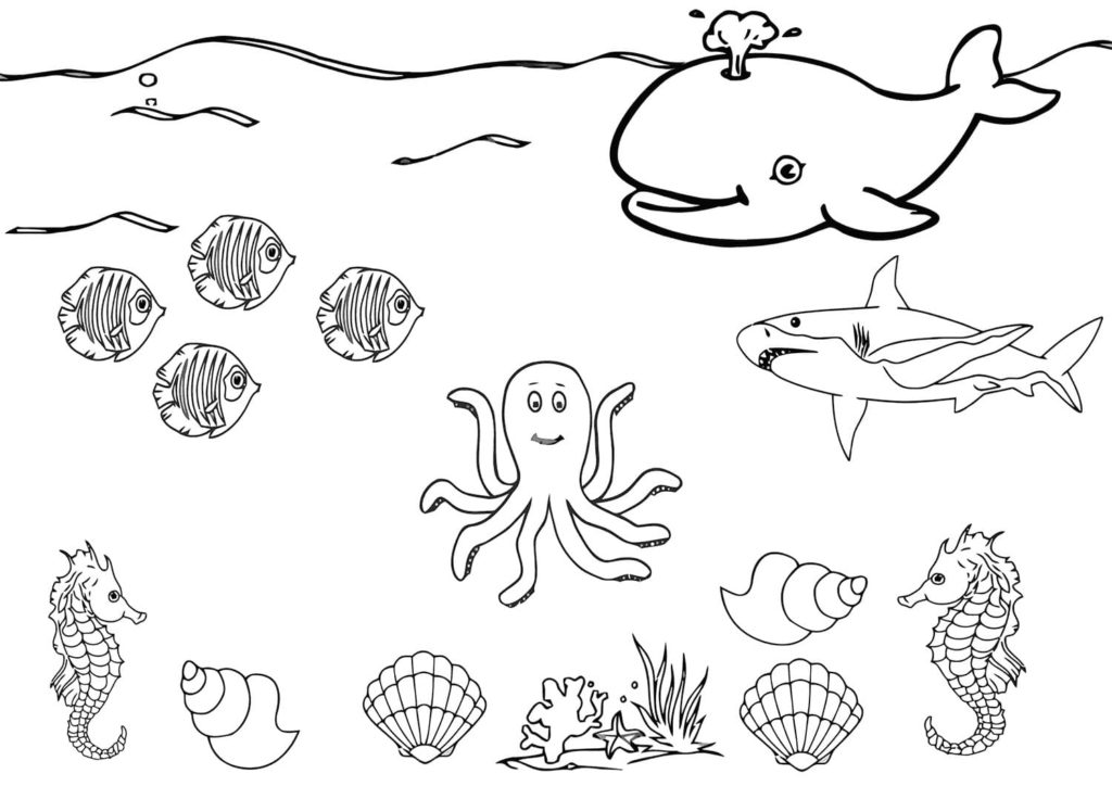 Animali dell'oceano Disegni da Colorare — Mondo sottomarino