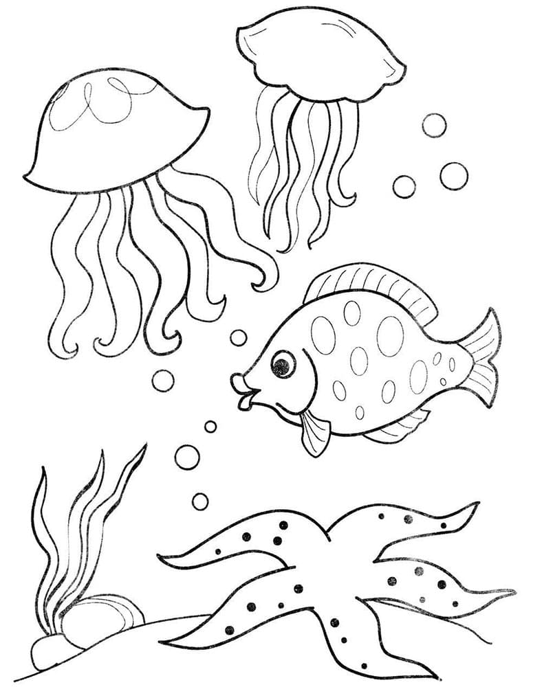Animali dell'oceano Disegni da Colorare — Mondo sottomarino