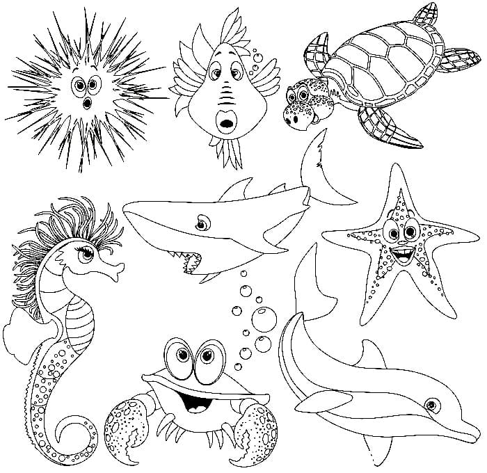 Раскраски Подводный мир — Обитатели морей и океанов