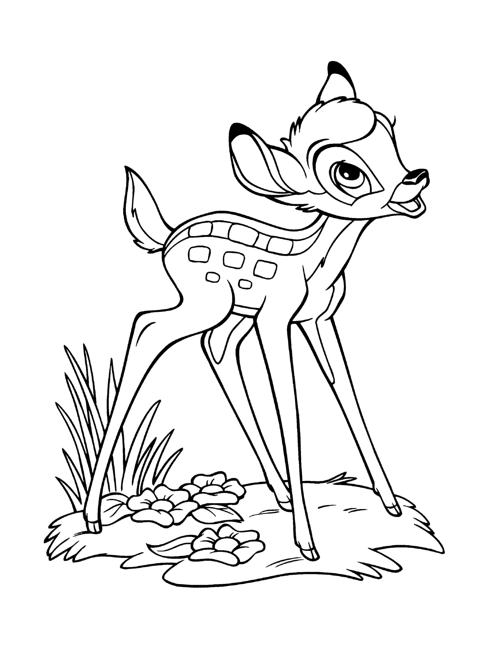Ausmalbilder Bambi. Kostenlose Malvorlagen für Kinder