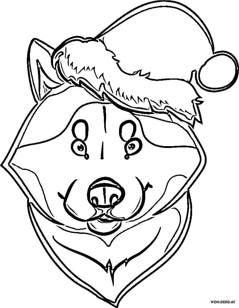 Husky Coloring Pages. Print for Free