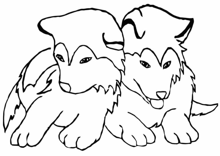 40 Coloriages Husky à imprimer sur Wonder Day