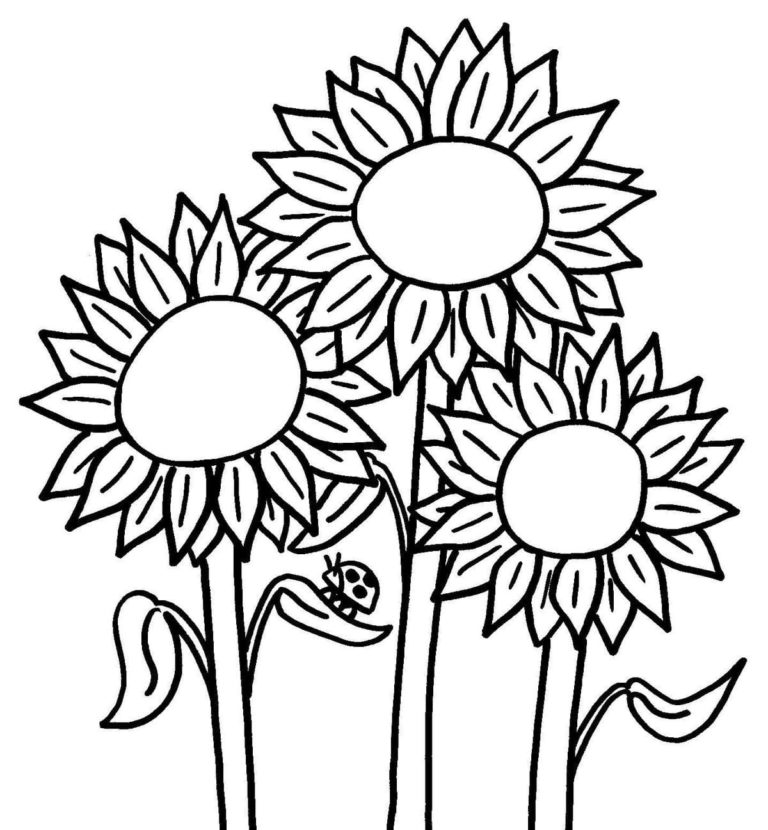 Printable Coloring Pages for Kids 5 Year Olds | WONDER DAY — Coloring ...