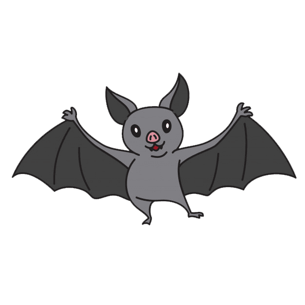 Cute bat