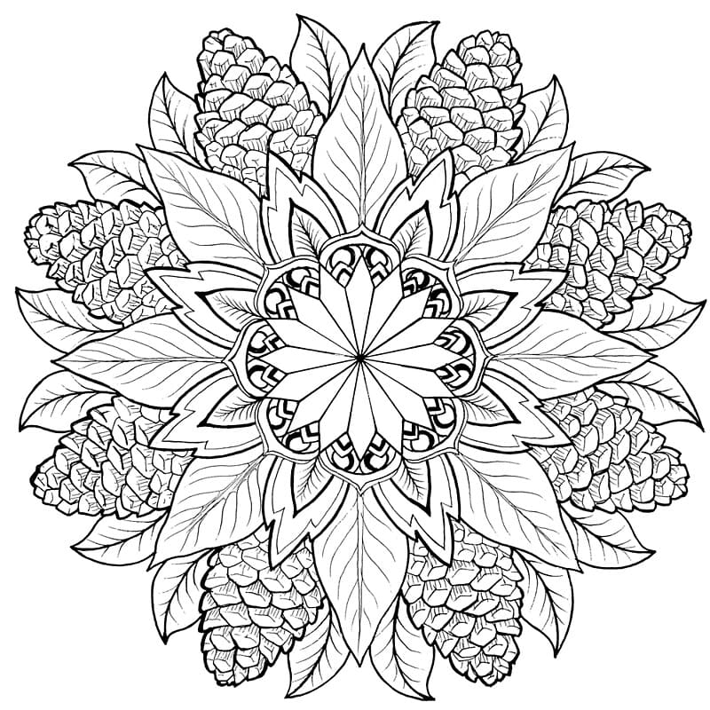 Desenhos Mandala para colorir
