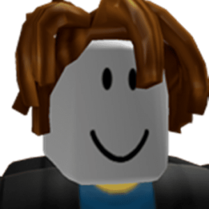 Png   Wonder Day Roblox Png 34 300x300 