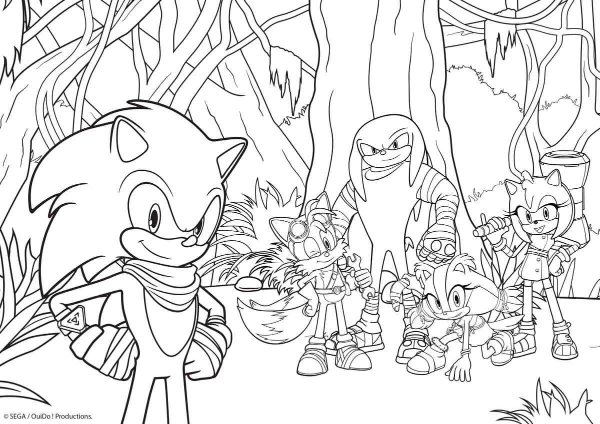 8 Dibujos Para Colorear Sonic Y Sus Amigos Coloring Sarahsoriano Images
