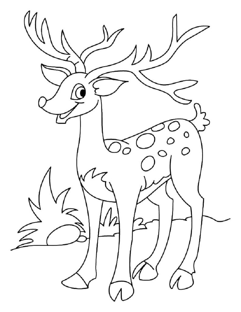Christmas Reindeer Coloring Pages. Print in A4 format