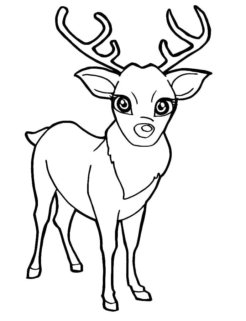 Christmas Reindeer Coloring Pages. Print in A4 format