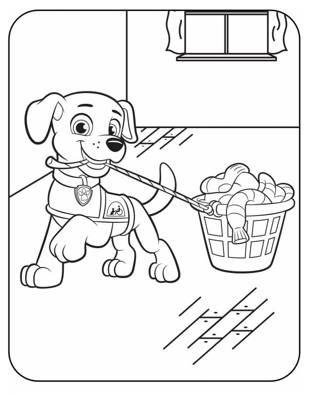 desenhos-para-colorir-patrulha-canina-rocky  Раскраски, Детские раскраски,  Рокки