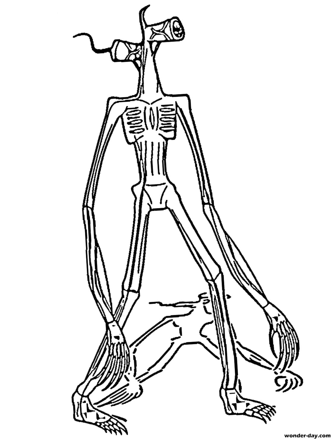 Desenhos para colorir de cabeça de sereia com lanterna - Desenhos para  colorir gratuitos para impressão