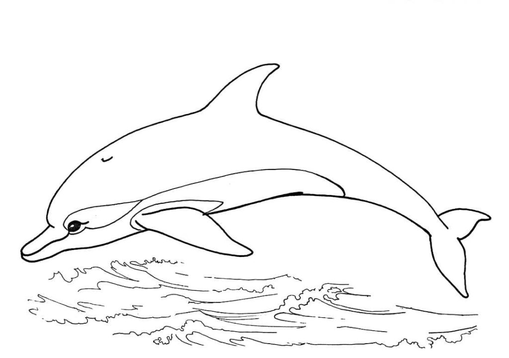 Dibujos de Delfines para colorear