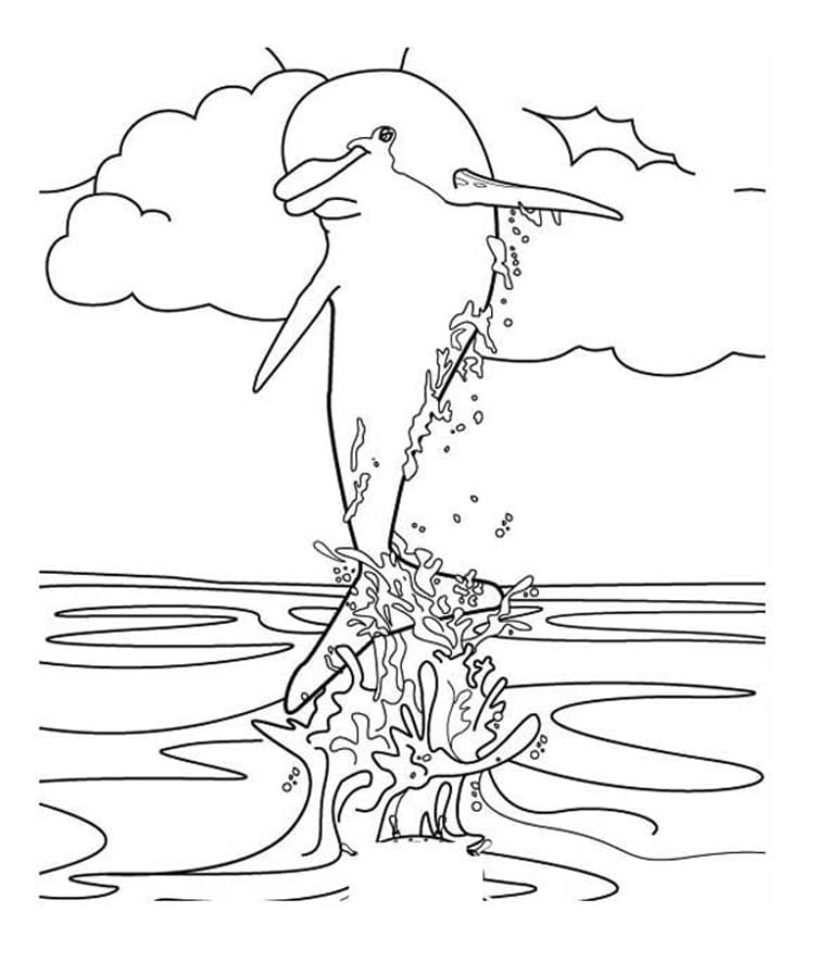 Dolphins coloring pages
