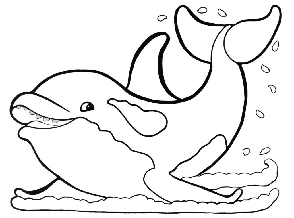 Dolphins coloring pages