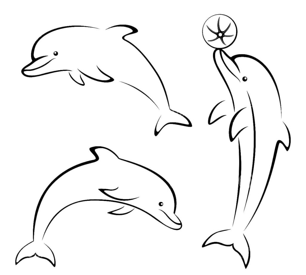 Dibujos de Delfines para colorear