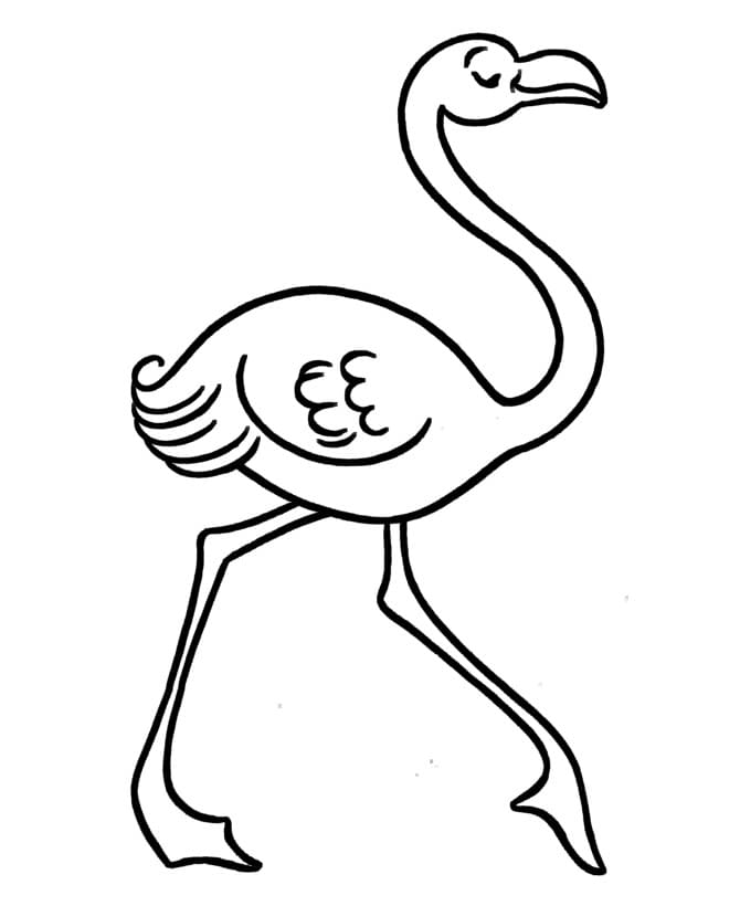 Desenhos de Flamingos para Colorir