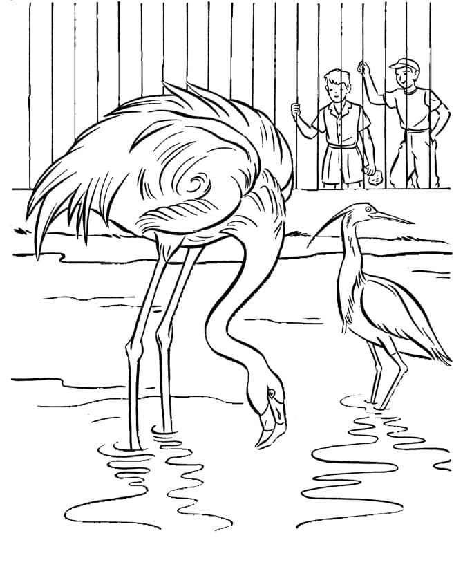 Ausmalbilder Flamingo
