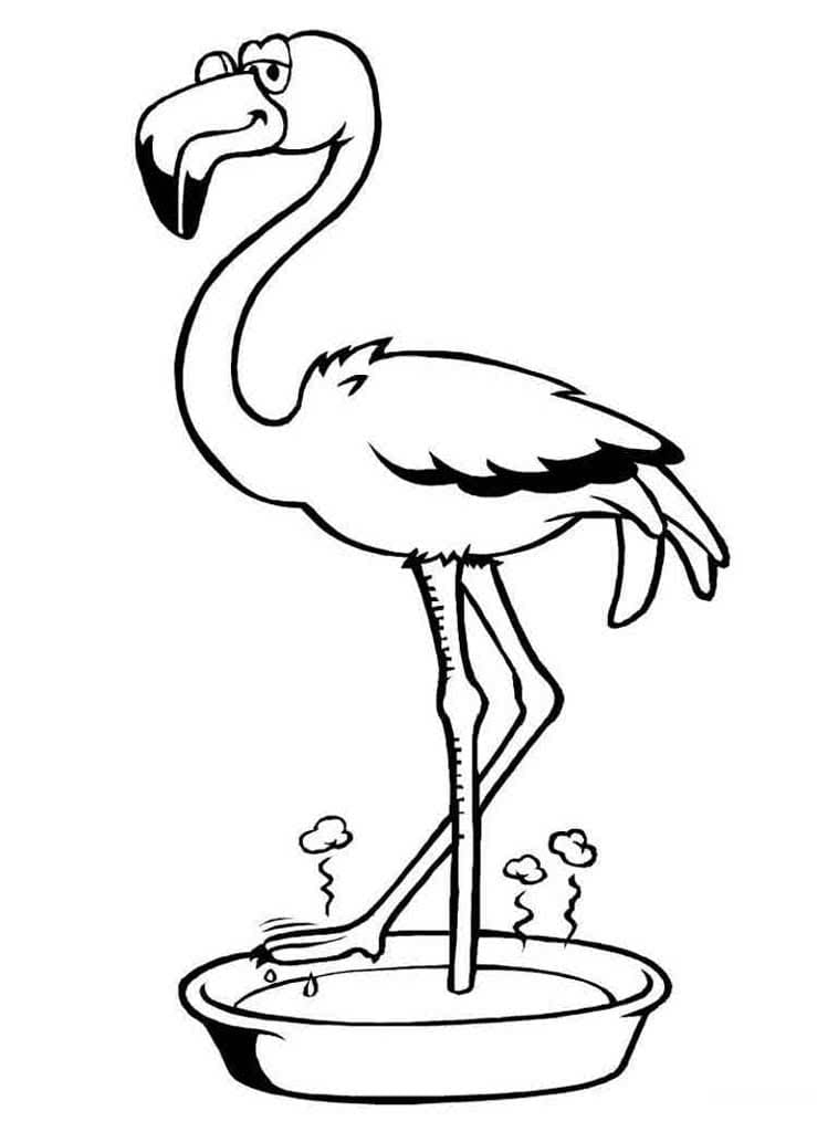 Desenhos de Flamingos para Colorir