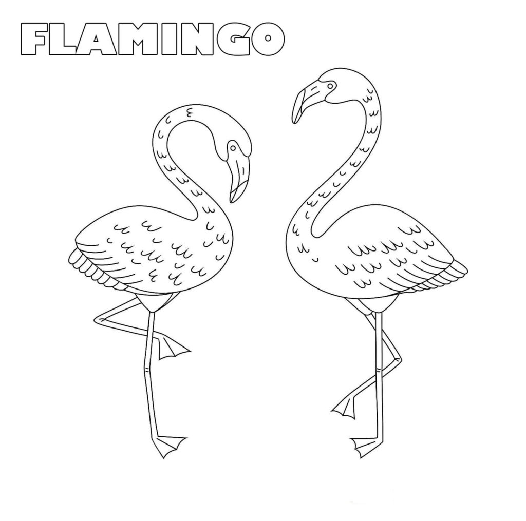 Раскраски Фламинго