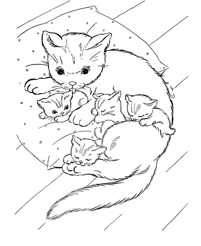 Malvorlagen Kätzchen