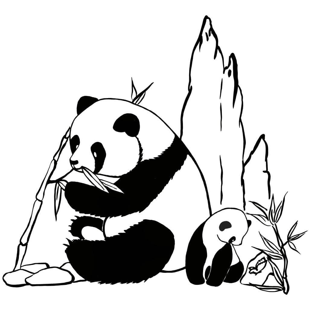 Desenhos de Pandas para imprimir e colorir