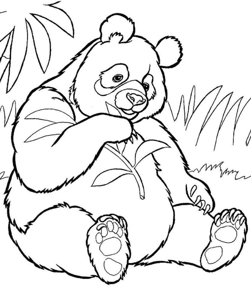 Panda coloring pages