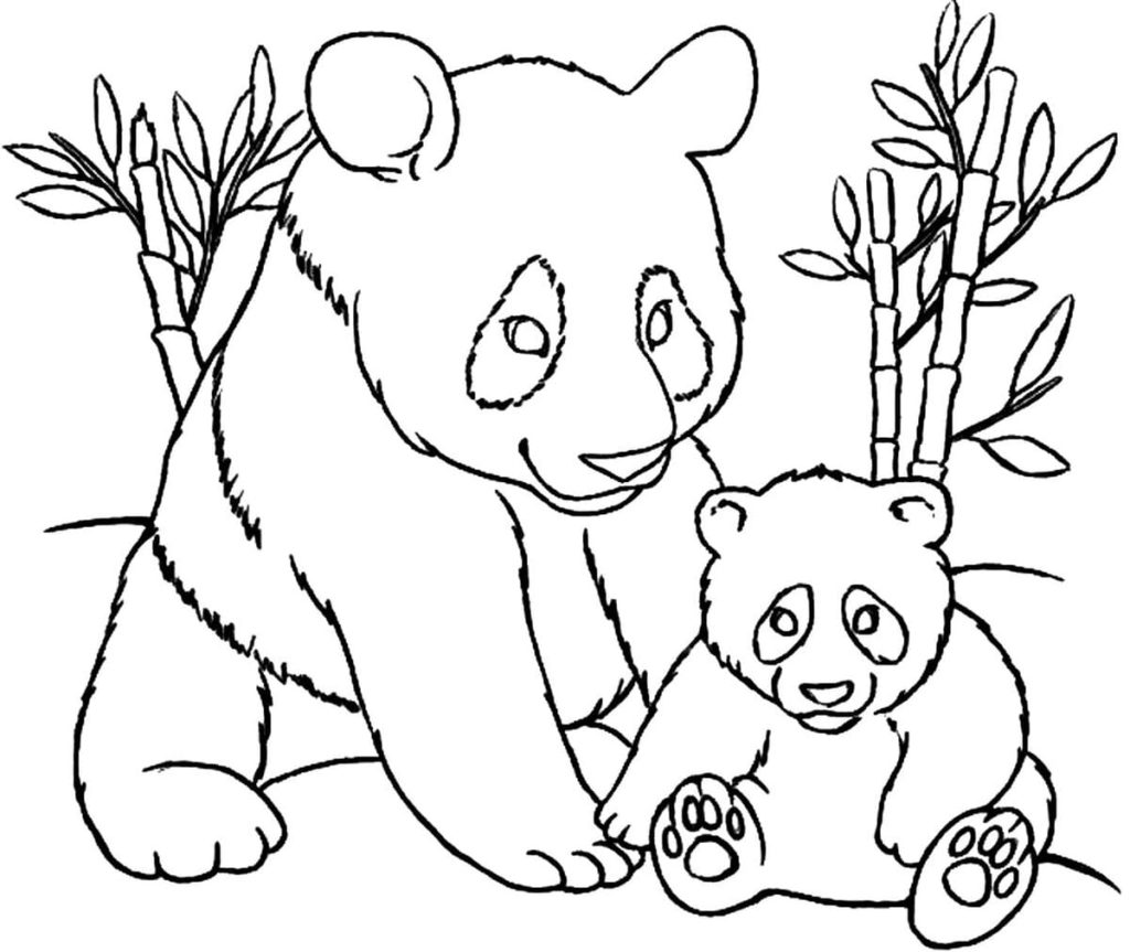 Desenhos de Pandas para imprimir e colorir