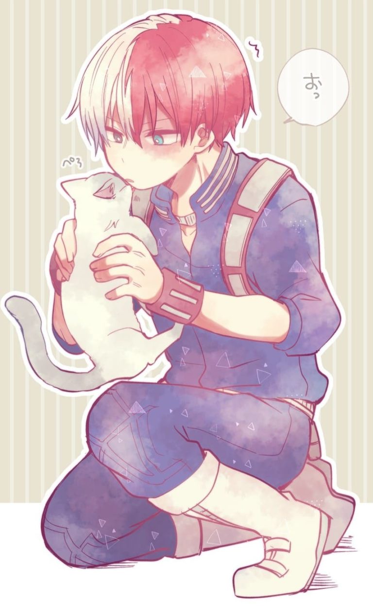 Shoto Todoroki Phone Wallpapers | WONDER DAY — Coloring pages for ...