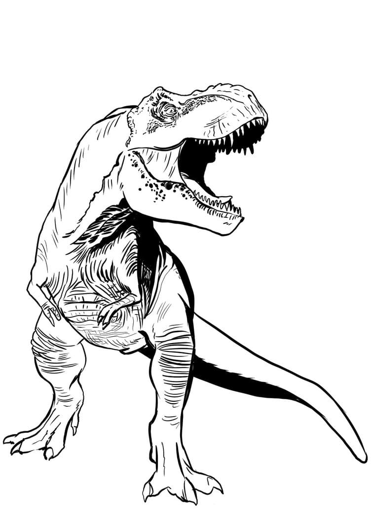 Disegni da colorare T Rex e stampare on Wonder-day.com