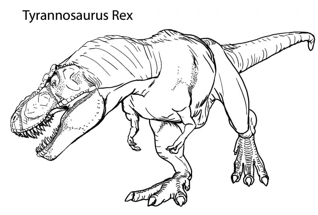 Desenho para colorir do dinossauro T Rex · Creative Fabrica