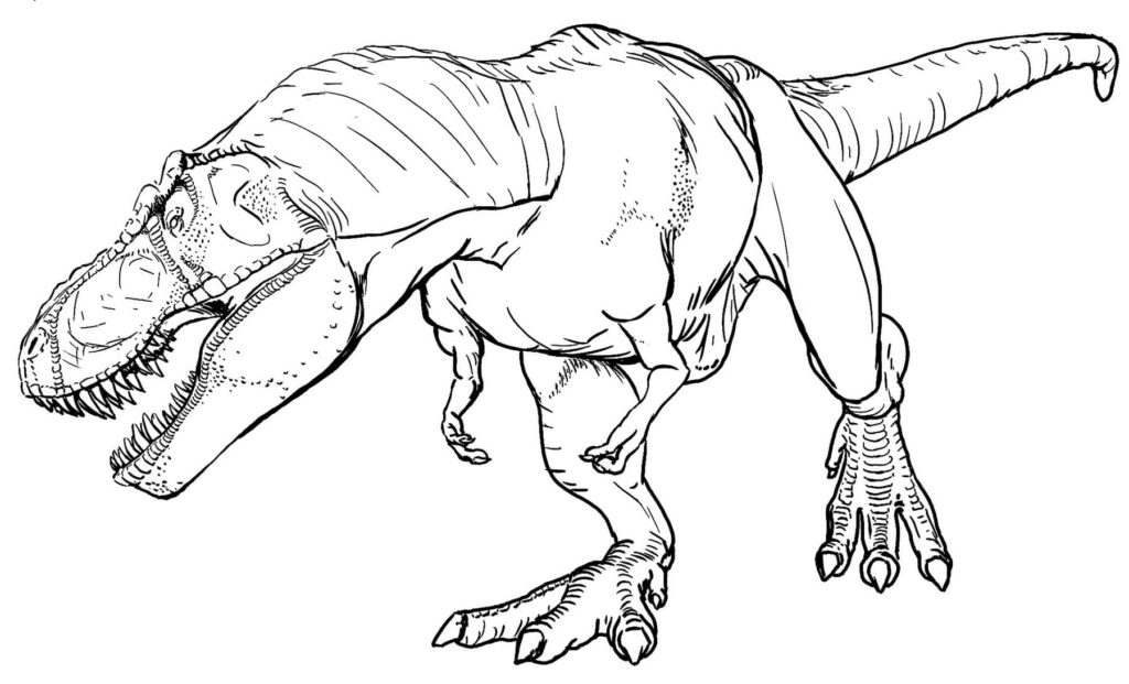 50+ Desenhos de T-Rex para colorir e imprimir - Como fazer em casa