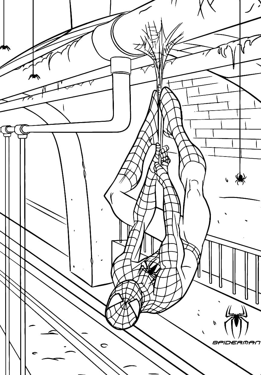 Ausmalbilder Spiderman - Gratis zum Drucken