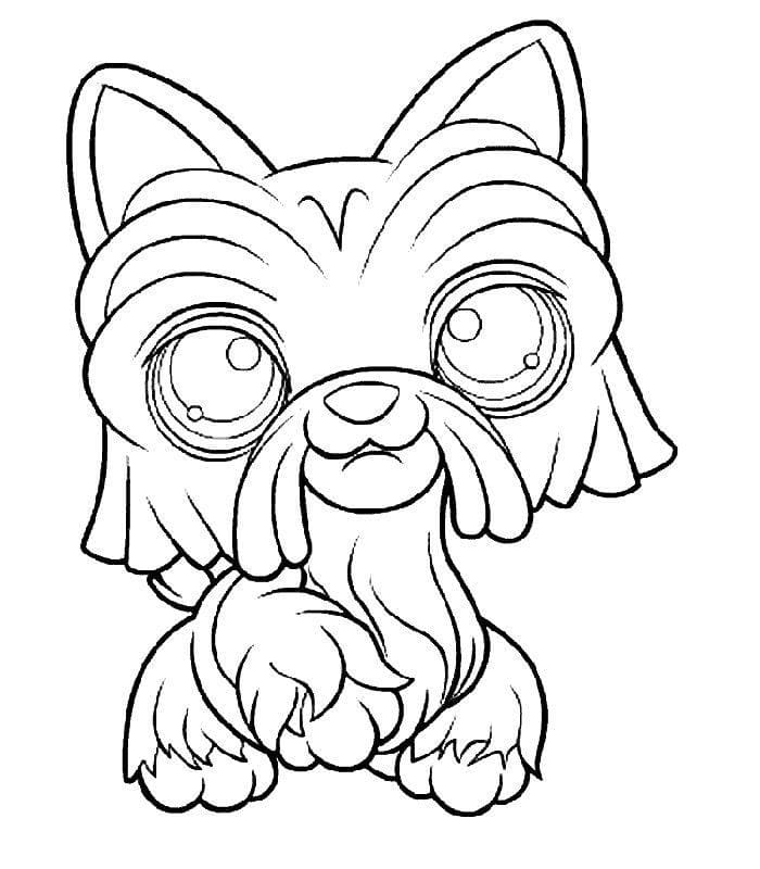 Dibujos de Littlest Pet Shop para Colorear