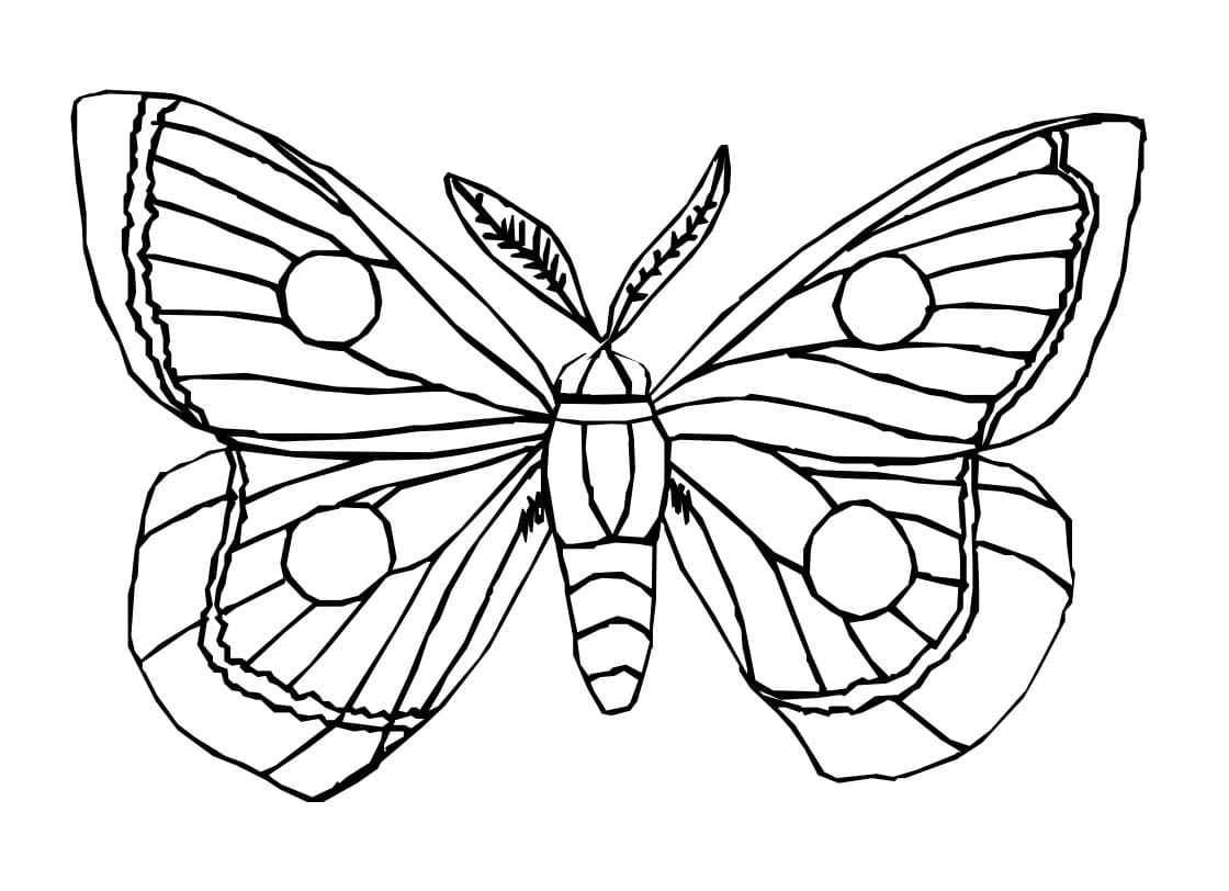 Бабочка скопировать. Раскраска "бабочки". Картинка бабочка раскраска. Бабочка рисунок раскраска. Раскраски бабочки красивые.