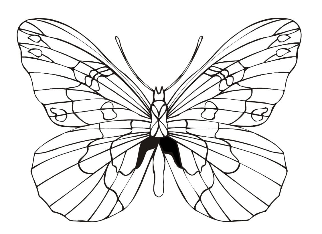 Бабочка скопировать. Раскраска "бабочки". Разукрашка бабочка. Картинка бабочка раскраска. Бабочка рисунок раскраска.