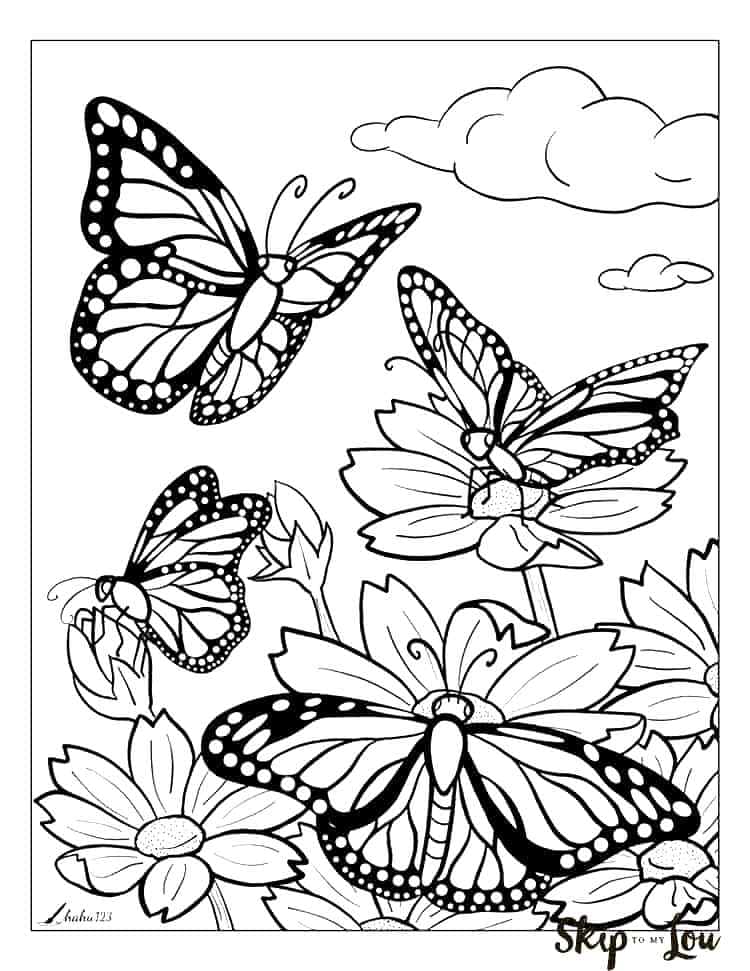 Ausmalbilder Schmetterling