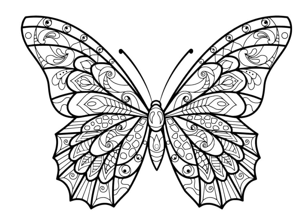 Dibujos de Mariposas para colorear. 
