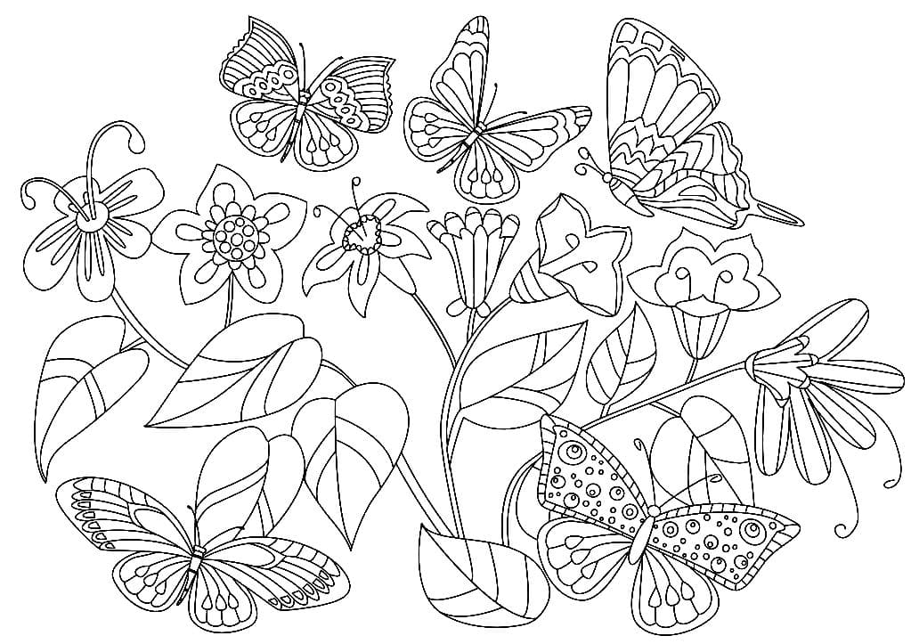 Disegni da colorare Farfalla