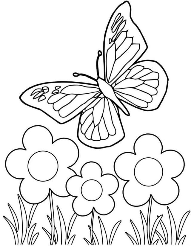 Dibujos de Mariposas para colorear