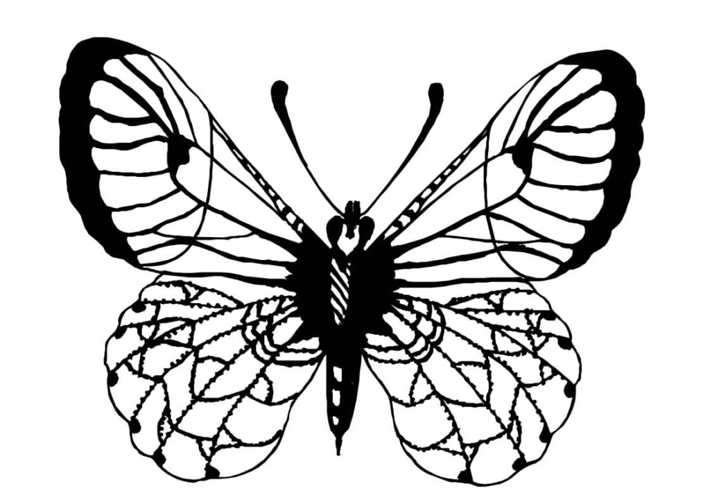 Ausmalbilder Schmetterling