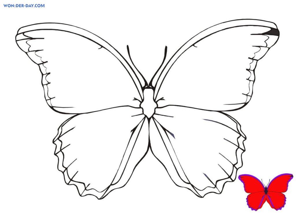 Dibujos de Mariposas para colorear